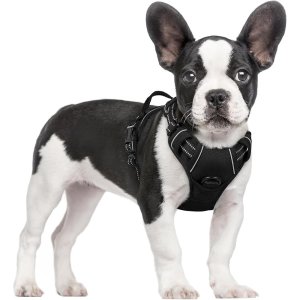 Save 27% Off rabbitgoo No Pull Dog Harness