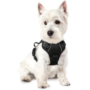 Save 26% Off rabbitgoo No Pull Dog Harness