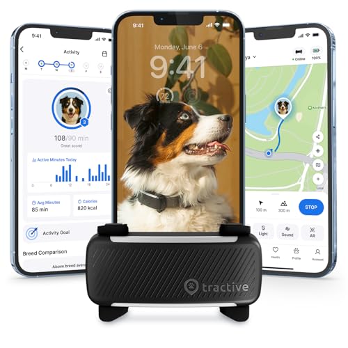 Tractive app showing live GPS tracking of a dog on a map