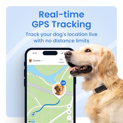 Tractive GPS Dog 6 health monitoring showing heart rate and sleep data